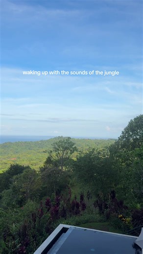 swapped out the sounds of the bustling city for the sounds of the jungle 🌴 ft. the howler monkeys screaming in the distance 🤣