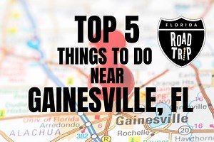 Top 5 Things to Do Near Gainesville FL • Authentic Florida