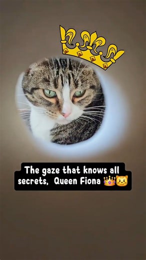 The Gaze That Knows All Secrets 👁️ Queen Fiona 😼