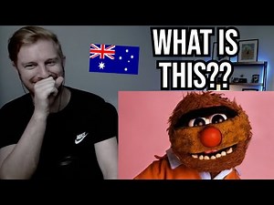 Reaction To Agro (Australian Adult Puppet)