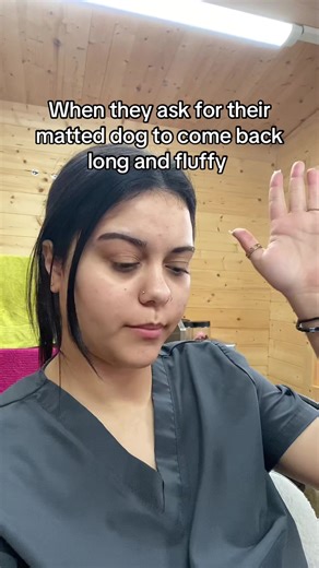 Funny Pet Grooming Moments That Make You Smile