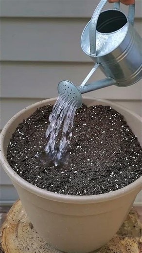 Don't throw away tree bark… turn it into a beautiful garden planter instead