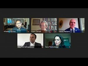 Adaptive leadership in the Covid-19 response: navigating crisis and change