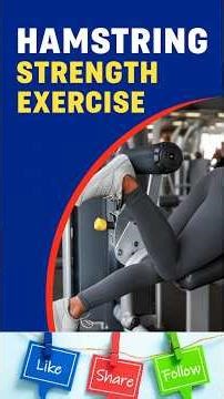 Hamstring Curls Prone Leg Curl & Hamstring Eccentric Loading | ACL and Meniscus Rehab | Knee Leg Gym