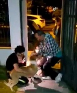 396K views · 10K reactions | FAMÍLIA GAÚCHA SE EMOCIONA AO...