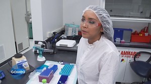 Nicole aus den USA und Sebastian aus Mexiko gehören zur Generation Z und sind auf der Suche nach ihrem ersten Job. Was sie sich dabei wünschen und wie unterschiedlich die Startbedingungen sind, zeigt #Galileo. | Galileo