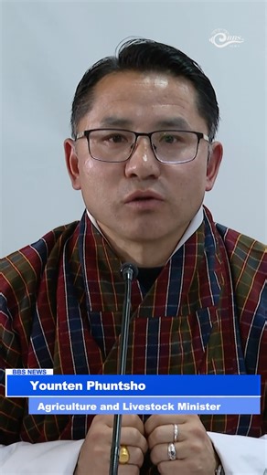 The government is considering involving the FCBL to buy potatoes from farmers. The corporation would store and distribute the produce to domestic markets and public institutions, providing relief to farmers struggling to sell their harvest. As of Friday, nearly 1900 metric tonnes of remained unsold in five districts. The government is also engaging local traders. According to the agriculture and livestock minister, many farmers held back stocks for over two months, expecting higher prices, despi