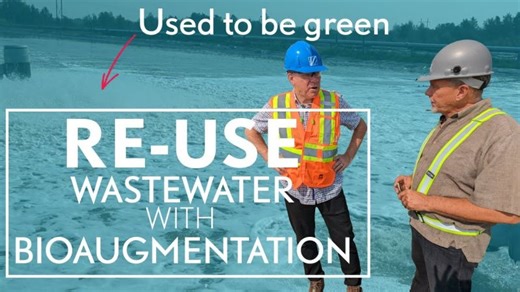Pulp Mill wastewater reuse with Bioaugmentation - EnBiorganic | EnBiorganic Technologies