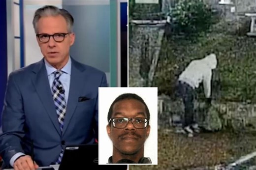 CNN’s Jake Tapper issues correction after calling DC pipe bomb suspect Brian Cole Jr. a ‘White man’