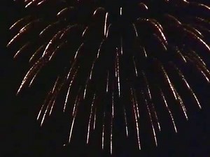 6'' Inch Shell - Golden Willow with Multi Colured Tips