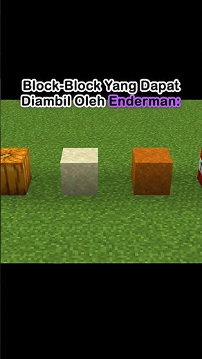 The Blocks That Enderman Can Pick Up #minecraft #shorts