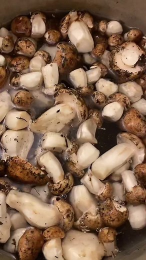 Ekaterina Kumi on TikTok