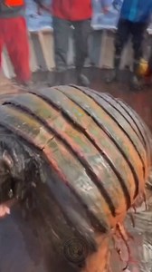 6.1M views · 46K reactions | Epsilon Files on Reels | Facebook