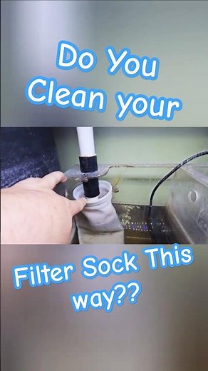 The EASIEST and CHEAPEST way to clean an aquarium filter sock! #aquarium #freshwateraquarium