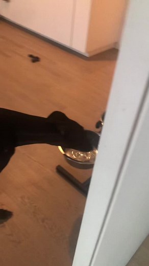 #doglife #puppydance #swayingtothebeat#cutedog#pet