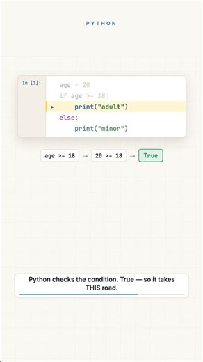 Python Basics: What if/else Actually Does #python #learnpython #coding