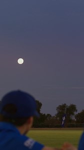 In a rural town, where it gets too hot to play cricket over summer, what would A Help Company do? | NRMA Insurance