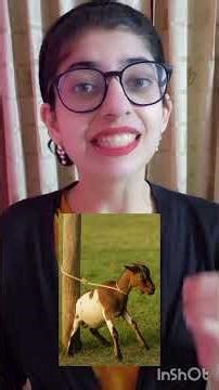 At the End of One’s Tether 🪢 | When You’ve Reached Your Limit! #idiom #english