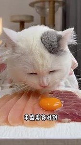 My cat and me #Pet at Home #Cute pet's eating skills #Love to eat little cat