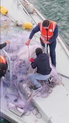 Combating Illegal Fishing: Sea Shepherd's Pursuit