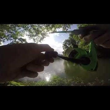 BLUEGILL Fishing at Barkcamp State Park! NONSTOP Action on Live Bait!