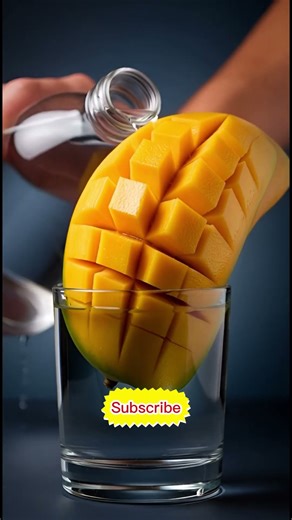 Mango Growing Timelapse in Water