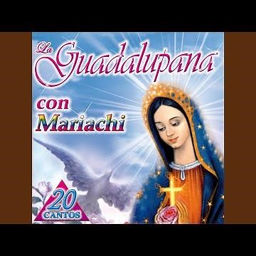 Buenos Días Paloma Blanca