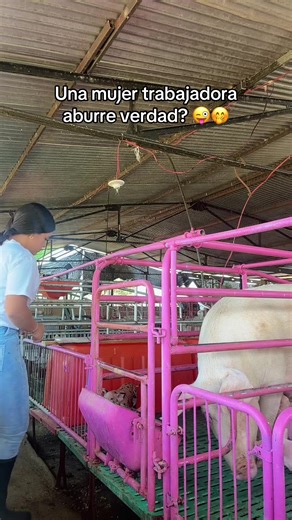 Pero yo no me aburrooo 😜👩🏽‍🌾 #parati #contenido #granja #cerdos #mujeres