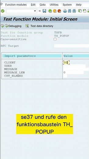 Der schnellste Weg einen User in SAP zu erreichen 😄#sap #tipp