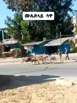 Eri_Motivation (@eri__mo)’s videos with original sound - Eri_Motivation