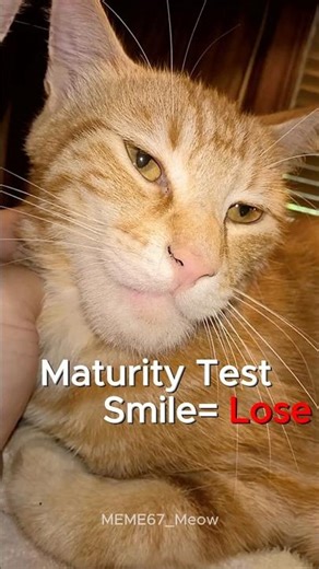 MEME EXAM! You'll laugh 😄 #funnytest #shorts #memes