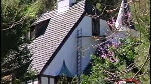 BIOGRAPHY_ SHARON TATE_ _Murdered Innocence ( 1943 1969 )