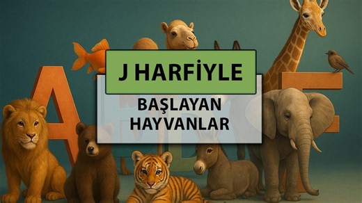 j harfi ile başlayan hayvan isimleri: j harfi ile başlayan hayvan isimleri nelerdir?