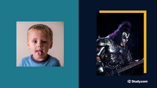 Genioglossus Muscle | Action, Function & Origin