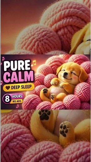 Dog Music 🎹 Relaxing Piano Sleep | 8 Hours No Ads | Cute Puppy Sleeping Deeply