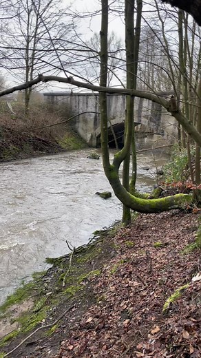 chopper_crew_tattoo op TikTok