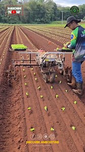 40K views · 31 reactions | Introducing the latest advancement in...