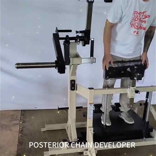 Commercial Gym Plate  Back Trainer  Posterior Chain Developer Back Machine Reverse Trainer