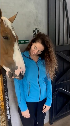 Comment se faire mordre par un cheval ? 😂