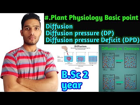 Diffusion||Diffusion pressure|| Diffusion pressure deficit||DP, DPD||Plant physiology B.Sc 2year