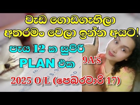 තවමත් පරක්කු නැහැ!💡|| Stress නොවී පාඩම් වැඩ සමබර කරන පැය 12ක සාර්ථක ප්ලෑන් එක | O/L 2025 💯🅰️