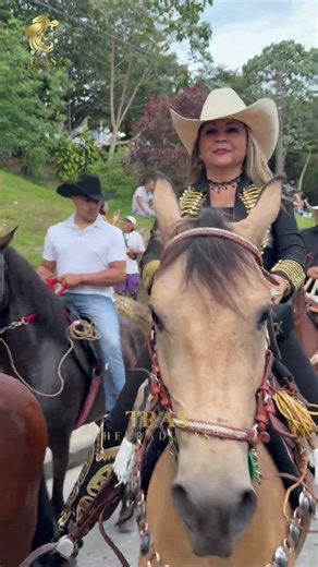 Beauty, attitude, and confidence in women who turn horse riding into a style statement 🐴