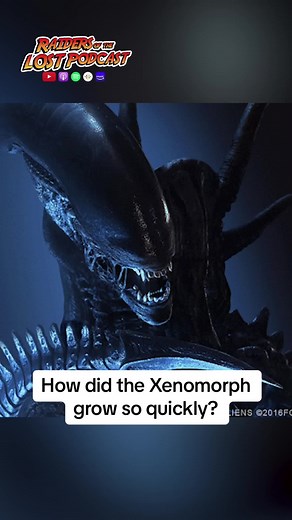 How did the Xenomorph grow so quickly in Alien? . . . . . #alien #xenomorph #xenomorphs #movie #horror #aliens #predator #movies #film