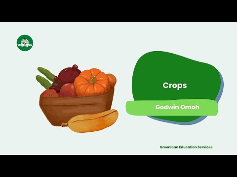 Crops: Food Crops & Cash Crops | Differences, Examples & Importance 🌾