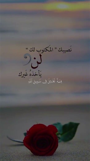 #قران_كريم #قران_كريم #اسلام_صبحي #لايك #راحة_نفسية #الحمدلله #اكسبلور #حياة #راحة_القلب#توبة_نصوح