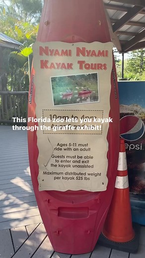 Add kayaking at the Brevard Zoo to your Spring Break plans! #SpaceCoast #SpringBreak #Florida #BrevardZoo #kayak #zoo #giraffes | Florida's Space Coast