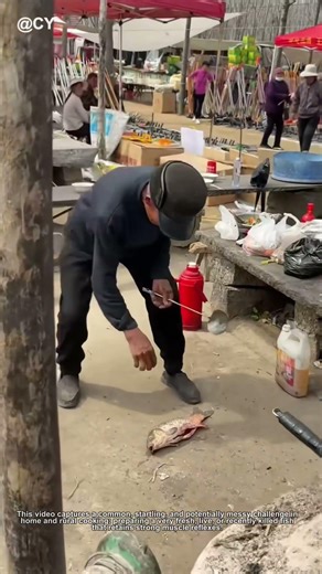 The Secret to Cooking Jumping Fish! 🐟🌾 (No Mess, No Stress)