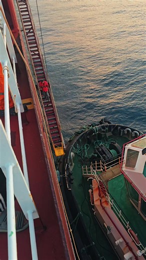 The Role of Pilots in Maritime Navigation