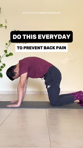 Effective Back Pain Exercises for Relief