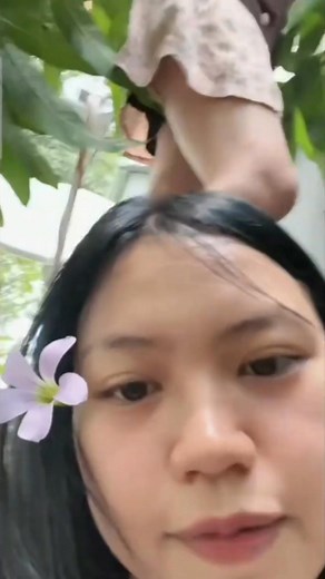 163K views · 3.3K reactions | Lagi cari pisang Bagian 6 | Live Streaming | Facebook